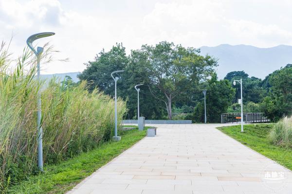 银叶树湿地公园