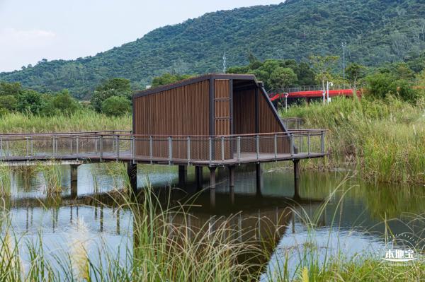 银叶树湿地公园