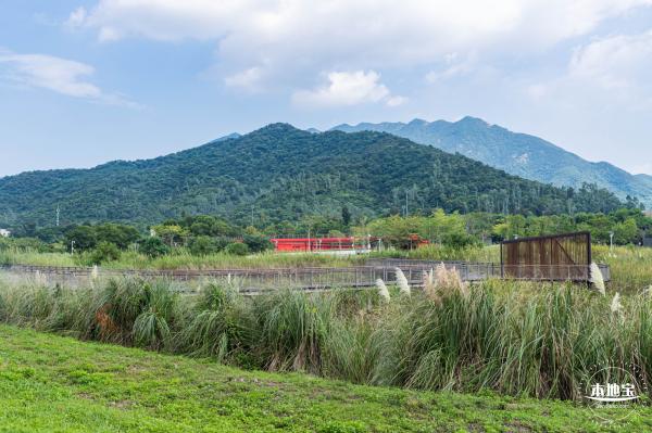 银叶树湿地公园