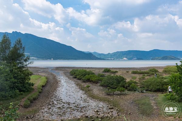 银叶树湿地公园