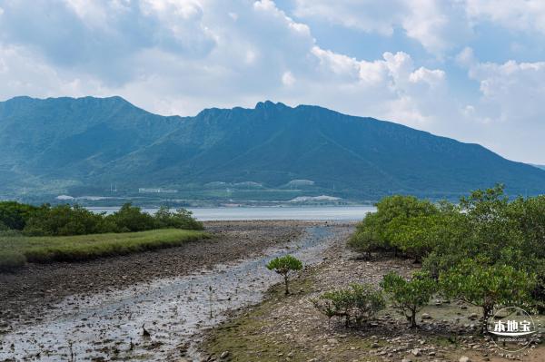 银叶树湿地公园