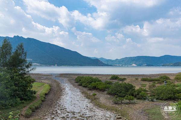 银叶树湿地公园