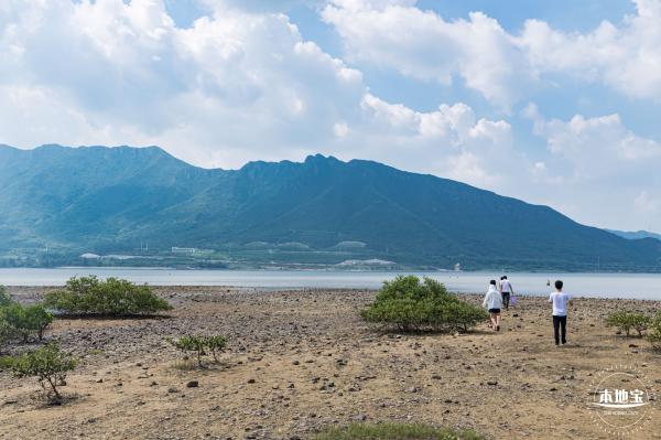 银叶树湿地公园