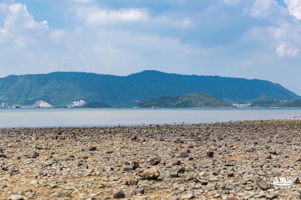 银叶树湿地公园
