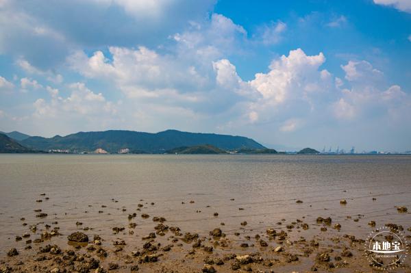 银叶树湿地公园