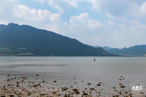 银叶树湿地公园