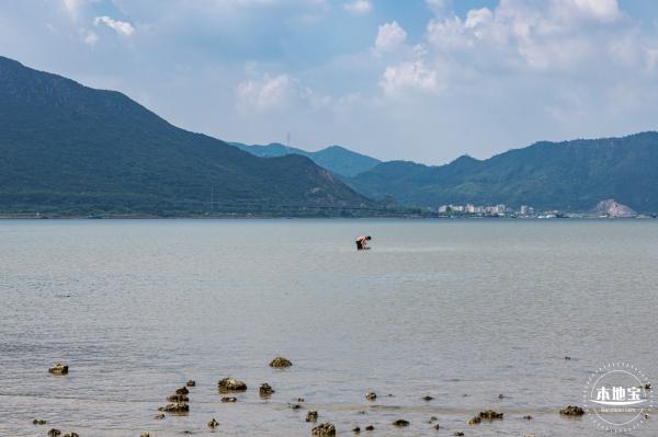 银叶树湿地公园