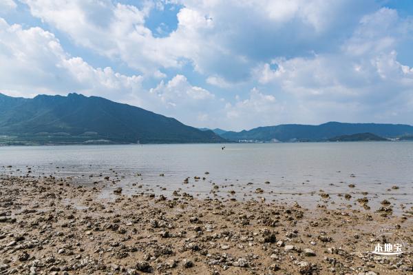 银叶树湿地公园