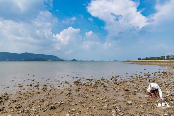 银叶树湿地公园