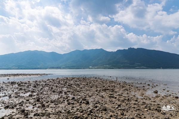 银叶树湿地公园