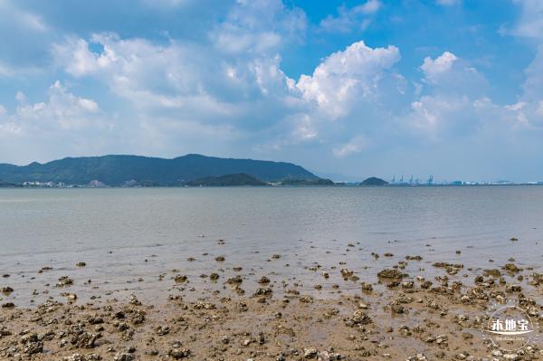 银叶树湿地公园