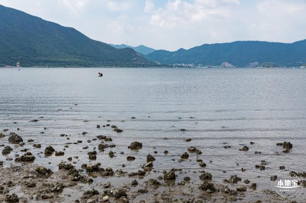 银叶树湿地公园