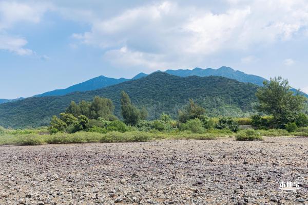 银叶树湿地公园