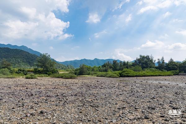 银叶树湿地公园