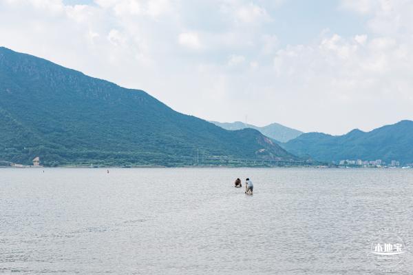 银叶树湿地公园