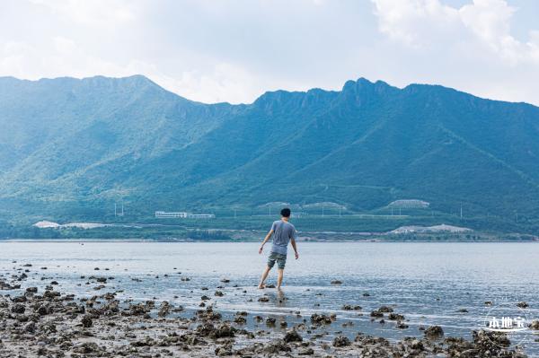 银叶树湿地公园