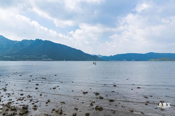 银叶树湿地公园
