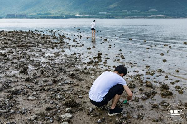 银叶树湿地公园