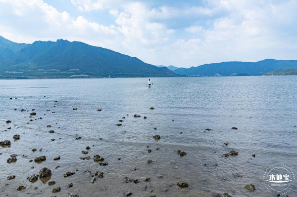 银叶树湿地公园