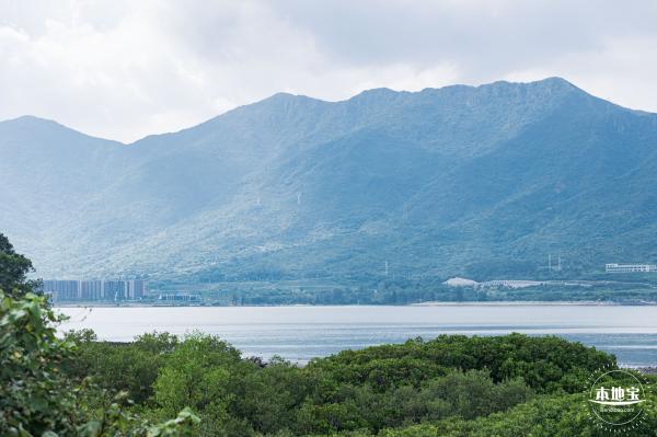 银叶树湿地公园