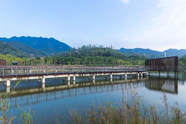 银叶树湿地公园