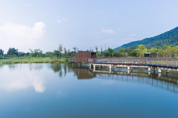 银叶树湿地公园