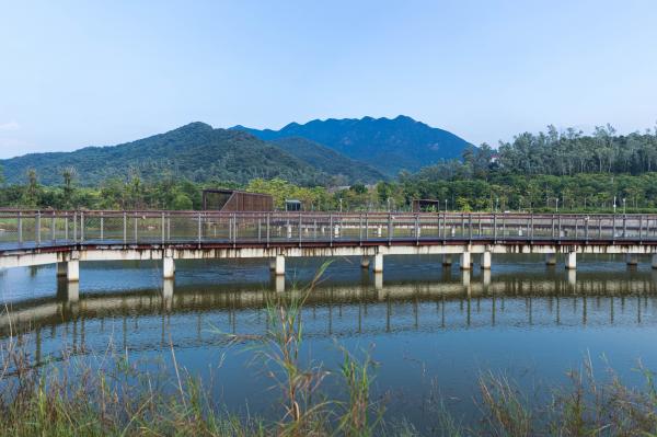 银叶树湿地公园
