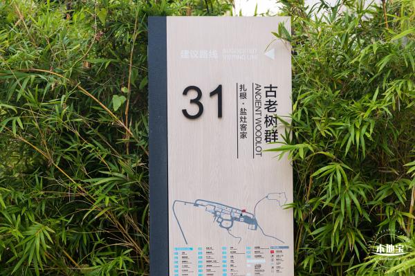坝光盐灶古村