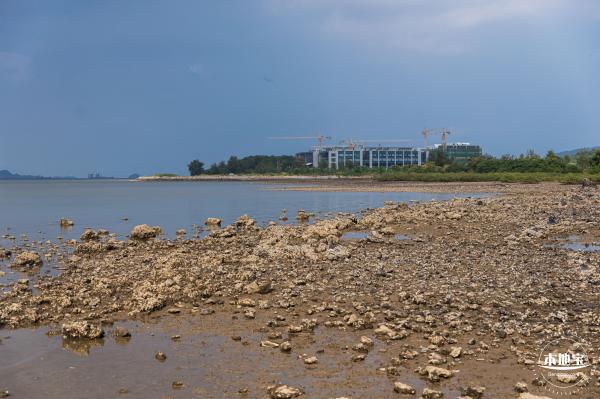 坝光盐灶古村