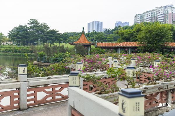 龙潭公园