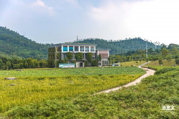 龙岗湿地公园