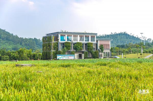 龙岗湿地公园