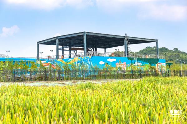 龙岗湿地公园