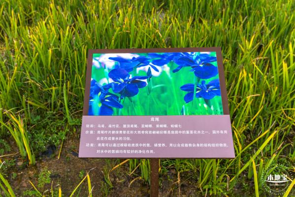 龙岗湿地公园
