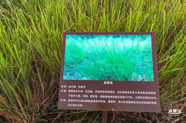 龙岗湿地公园