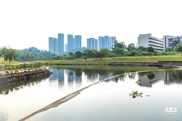 龙岗湿地公园