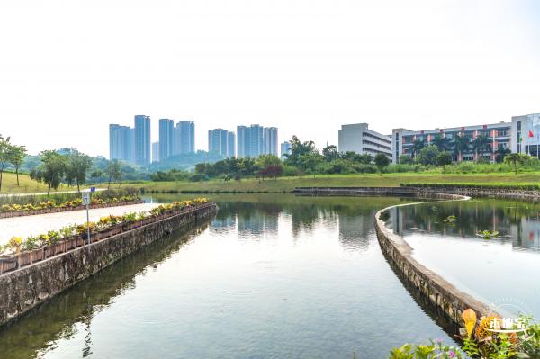 龙岗湿地公园