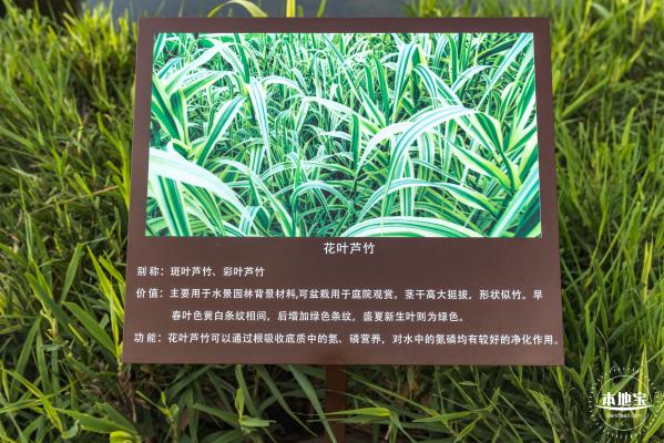 龙岗湿地公园