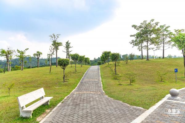 龙岗湿地公园