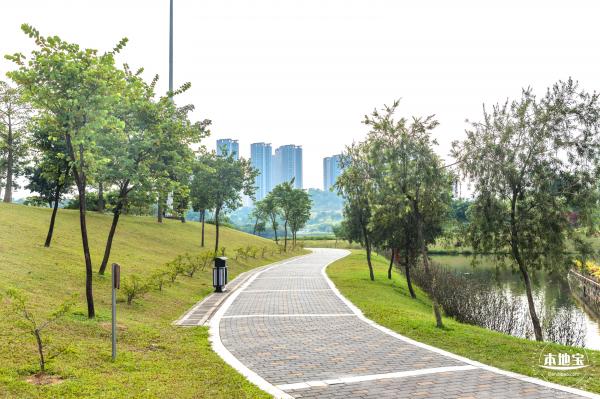 龙岗湿地公园