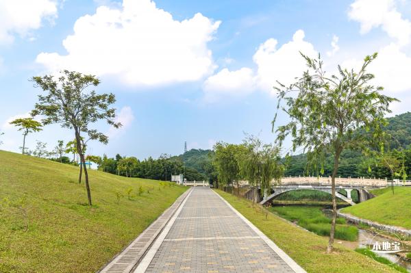 龙岗湿地公园