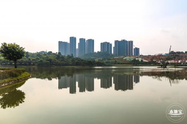 龙岗湿地公园