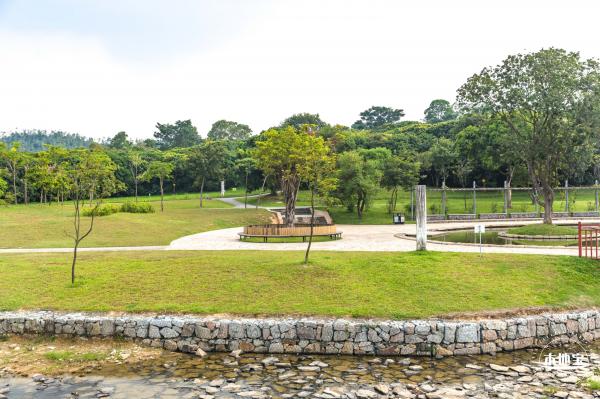 龙岗湿地公园