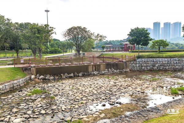 龙岗湿地公园