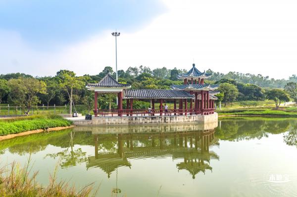 龙岗湿地公园