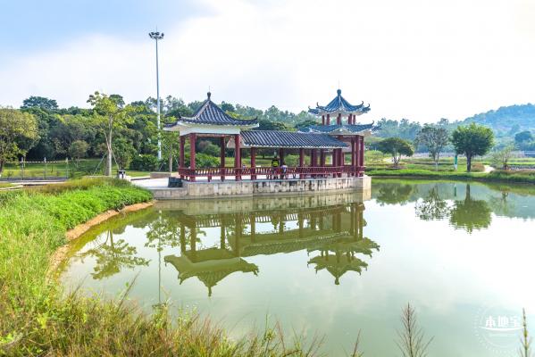 龙岗湿地公园