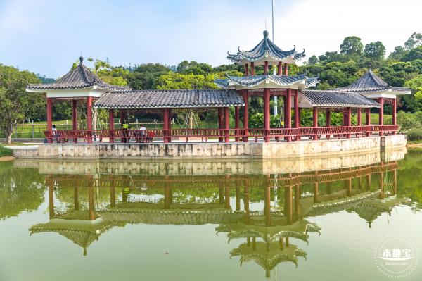 龙岗湿地公园