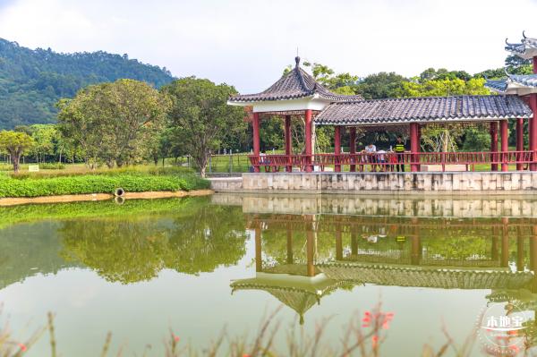 龙岗湿地公园