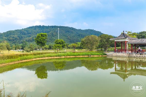 龙岗湿地公园