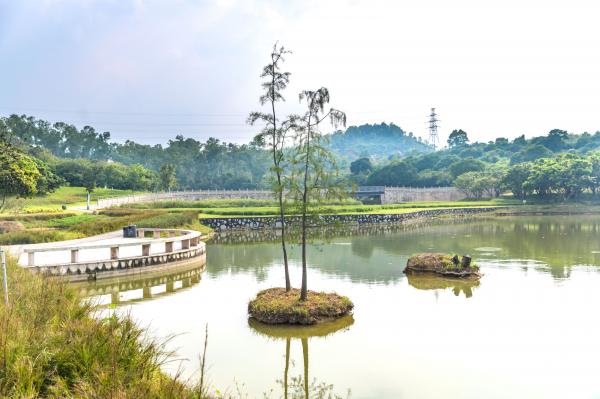 龙岗湿地公园